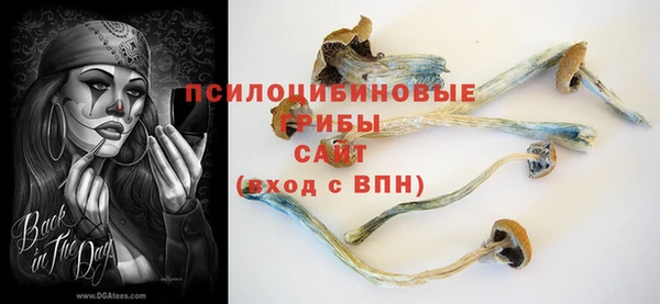 ешки Абдулино