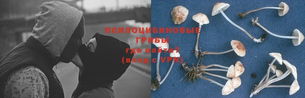 ешки Абдулино